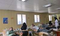 اقدامی انسان‌دوستانه کارکنان اداره‌کل آموزش فنی و حرفه‌ای کردستان در هفته ملی مهارت
